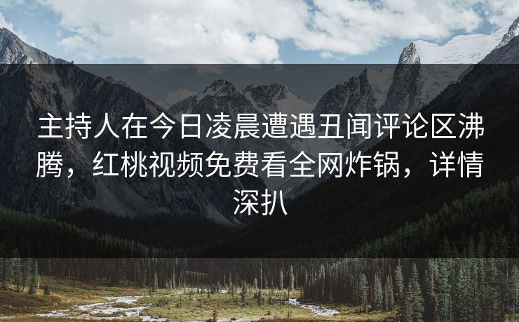 主持人在今日凌晨遭遇丑闻评论区沸腾，红桃视频免费看全网炸锅，详情深扒